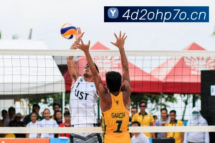 星空网官网登录入口手机版发展历程